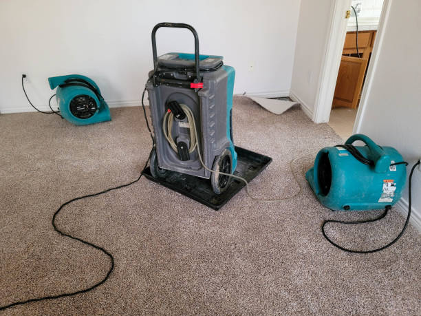 Best Water damage restoration near me  in Ardmore, OK