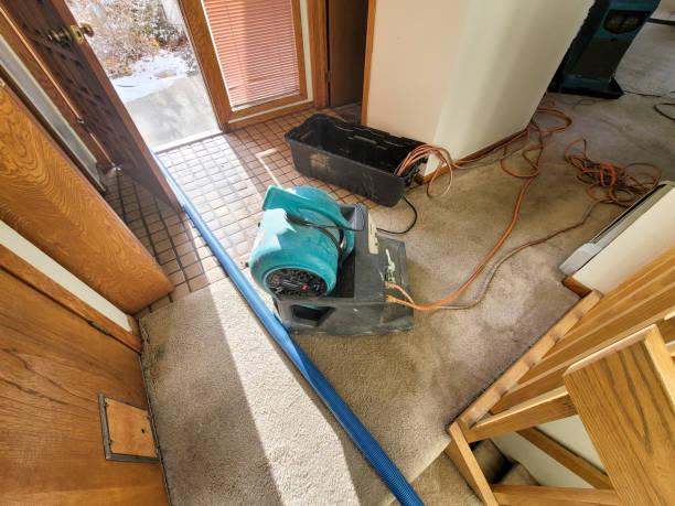 Best Water damage restoration near me  in Ardmore, OK