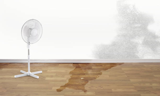 Best Flood restoration services  in Ardmore, OK