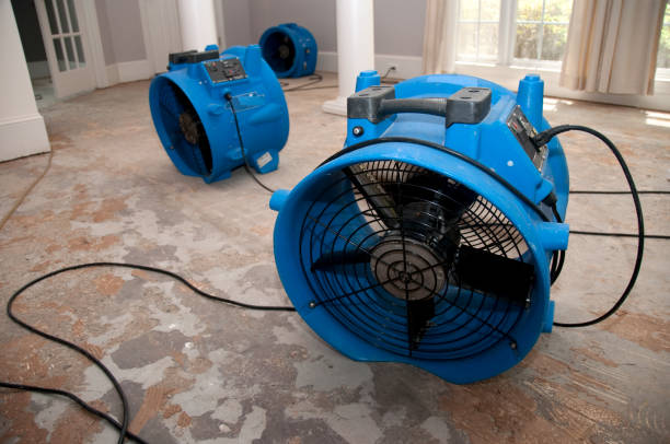 Best Carpet water damage restoration  in Ardmore, OK