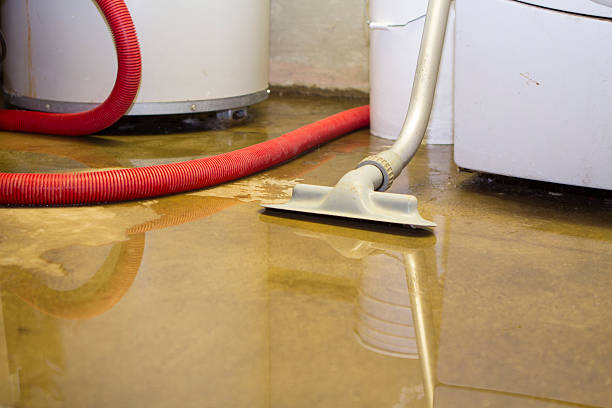 Best Professional water damage repair  in Ardmore, OK