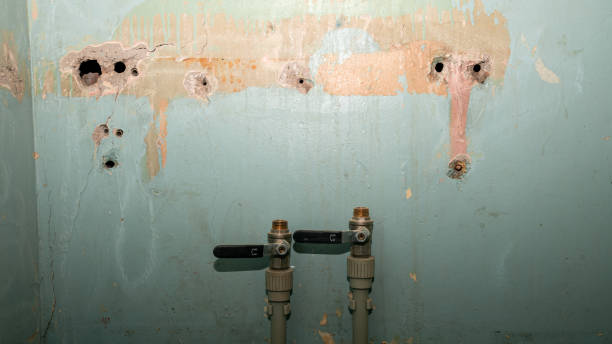 Best Local water damage restoration  in Ardmore, OK