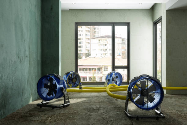 Best Water damage restoration experts  in Ardmore, OK